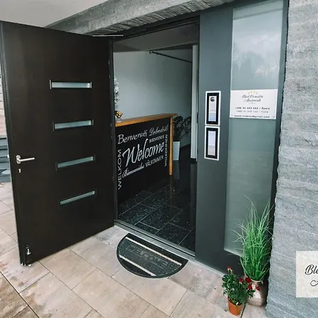 Apartman Prestigious And Stylish - Classic With Terrace