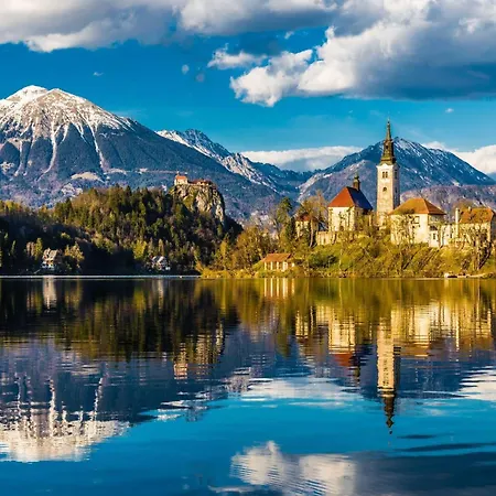 Prestigious And Stylish - Classic With Terrace * Bled